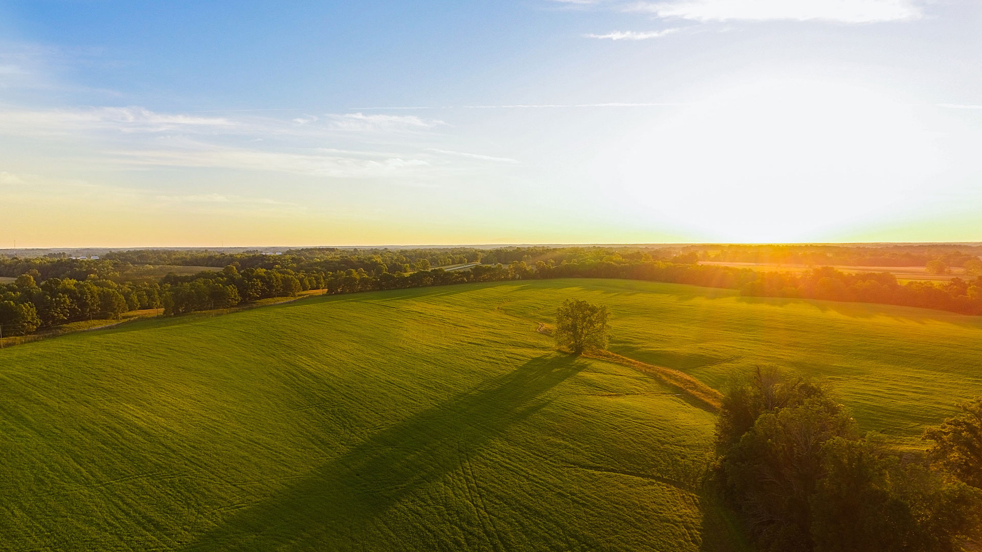 开云app官方版web站入口自有农场数量和规模亚洲第一