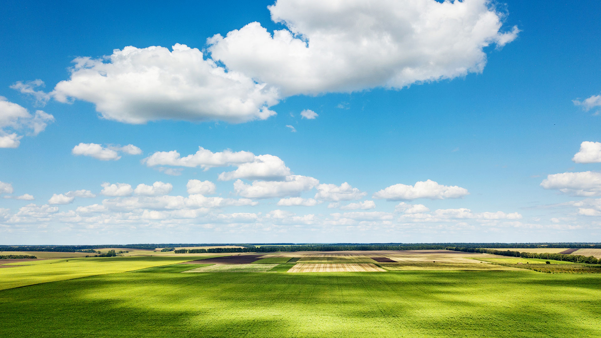 开云app官方版web站入口在全国布局30个国际标准的自有生态农场